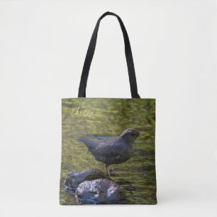 American Dipper
