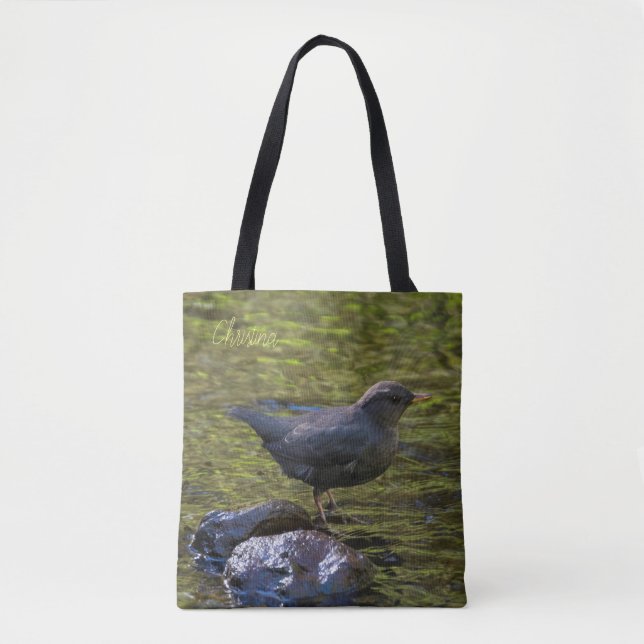 American Dipper (Vorderseite)