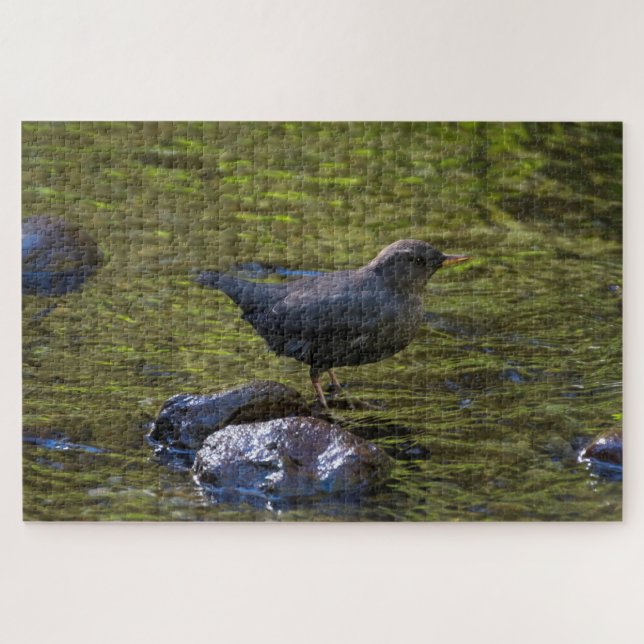 American Dipper Puzzle (Horizontal)