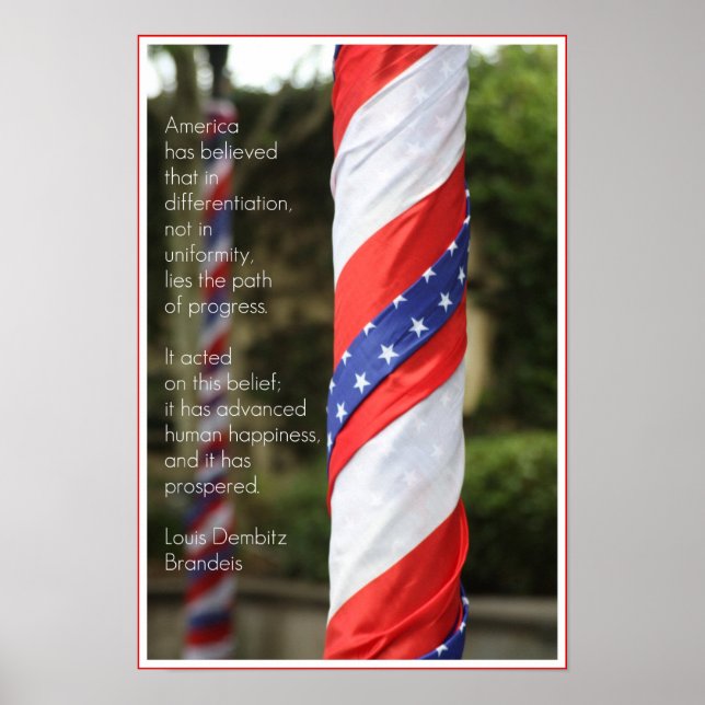 American Diversity Patriotic Poster (Vorne)