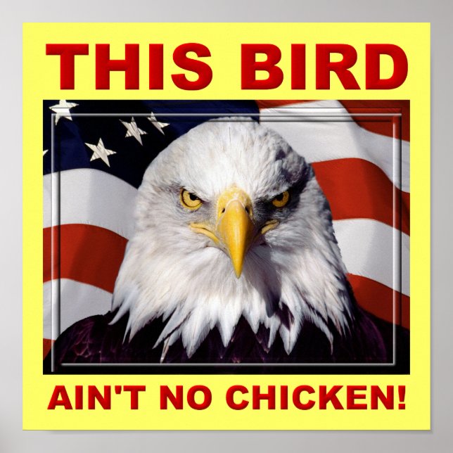American Eagle Ain No Chicken Poster Sign (Vorne)
