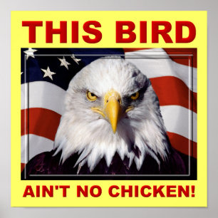 American Eagle Ain't No Chicken Poster Schild