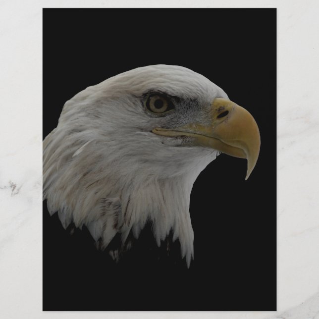 American Eagle Leadership Motivierend (Vorderseite)