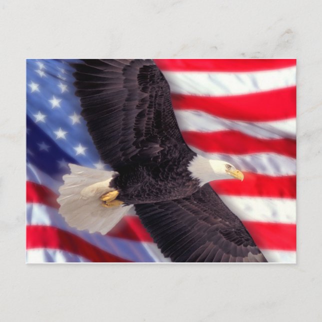 American Eagle mit American Flag Postcard Postkarte (Vorderseite)
