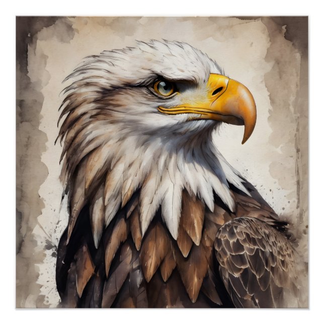 American Eagle no 7 Glossy Poster (Vorderseite)