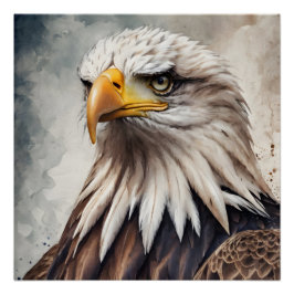 American Eagle no 8 Glossy Poster
