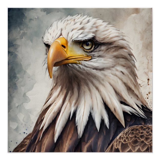 American Eagle no 8 Glossy Poster (Vorderseite)