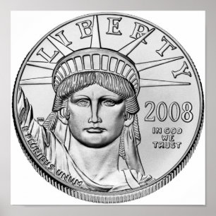 American Eagle Platinum Reverse Proverse Coins Poster
