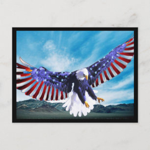 American Eagle Postcard 2 Postkarte
