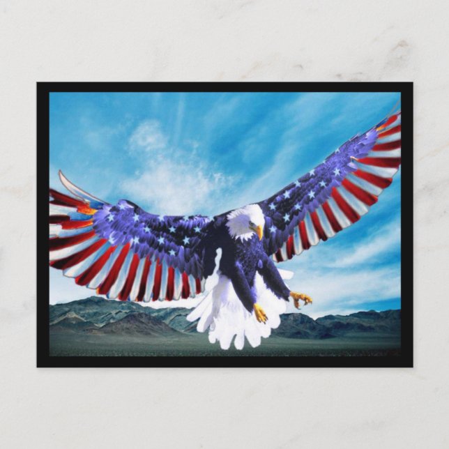 American Eagle Postcard 2 Postkarte (Vorderseite)