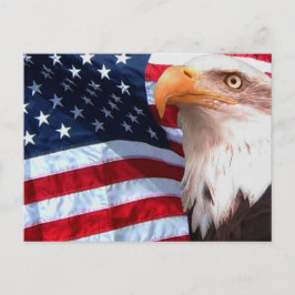 American Eagle Postcard 6 Postkarte