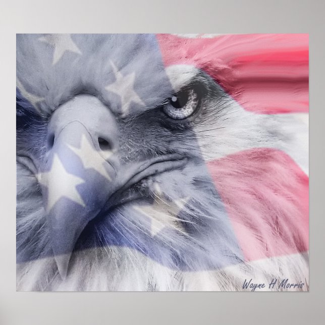 American Eagle Poster (Vorne)