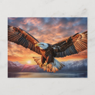 American Eagle Postkarte