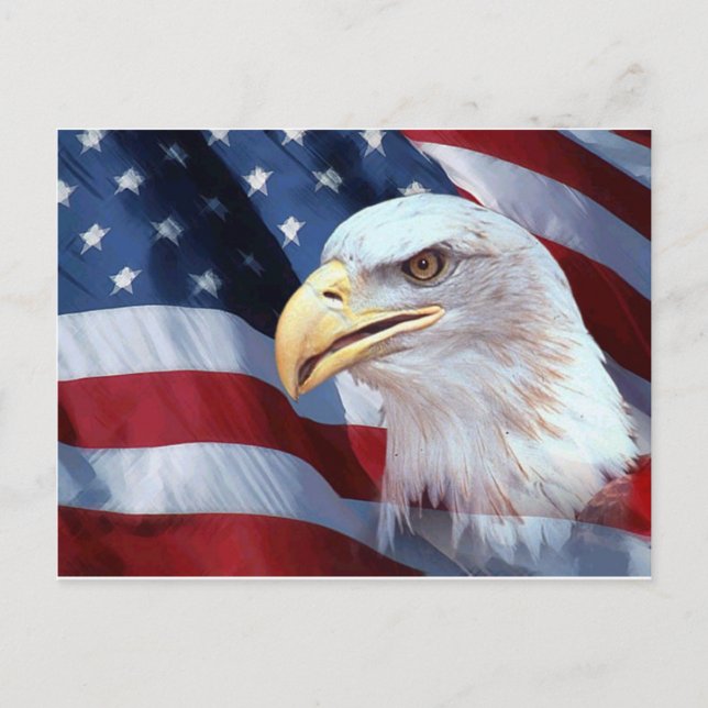 American Eagle Postkarte (Vorderseite)