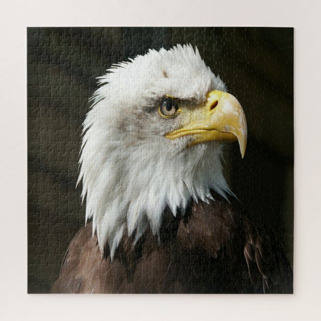American Eagle Puzzle (Vertikal)