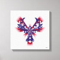American Eagle Stars & Stripes