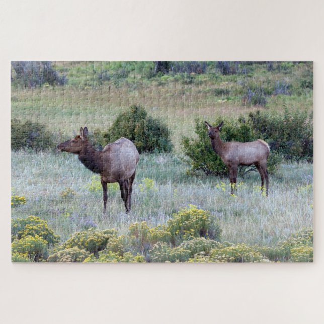 American Elk | Colorado Puzzle (Horizontal)