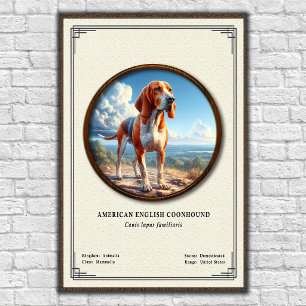 American English Coonhound Zoologie-Serie Poster