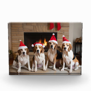 American English Foxhound Fireplace Weihnachten Fotoblock