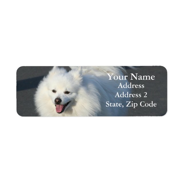 American Eskimo Address Labels (Vorne)