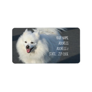 American Eskimo Adressetiketten