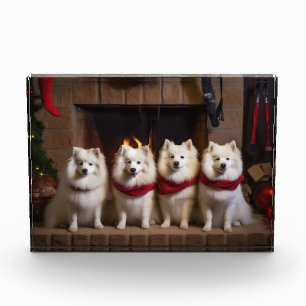 American Eskimo am Feuerplatz Weihnachten Fotoblock