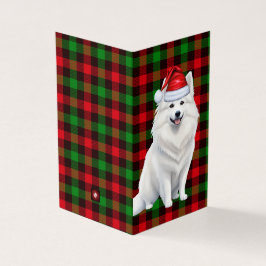 American Eskimo Christmas Dog mit Holiday Kariert