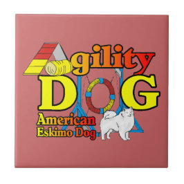 American Eskimo Dog Agility Fliese