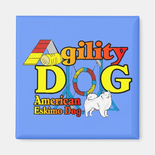 American Eskimo Dog Agility Geschenke Magnet (Vorne)