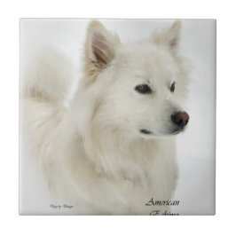American Eskimo Dog Art Fliese