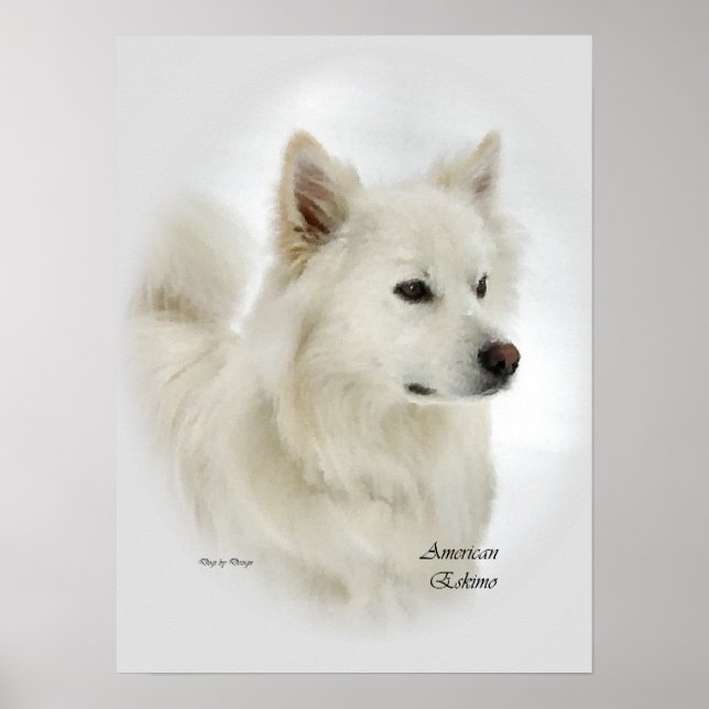 American Eskimo Dog Art Geschenke Poster (Vorne)