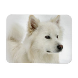 American Eskimo Dog Art Magnet
