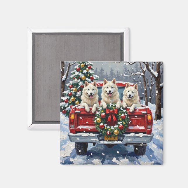 American Eskimo Dog Christmas Red Truck Holiday Magnet (Vorderseite/Rückseite)