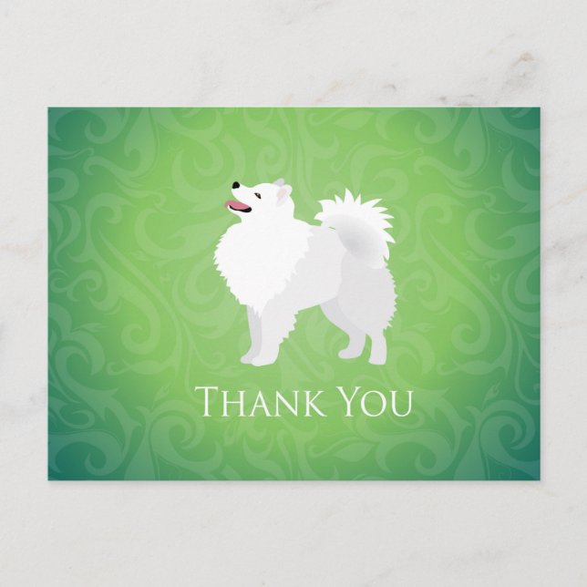 American Eskimo Dog Danke Design Postkarte (Vorderseite)
