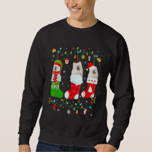 American Eskimo Dog Drei Weihnachtssocken Sweater Sweatshirt
