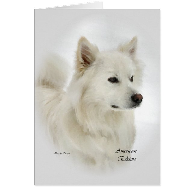 American Eskimo Dog Geschenke (Vorne)