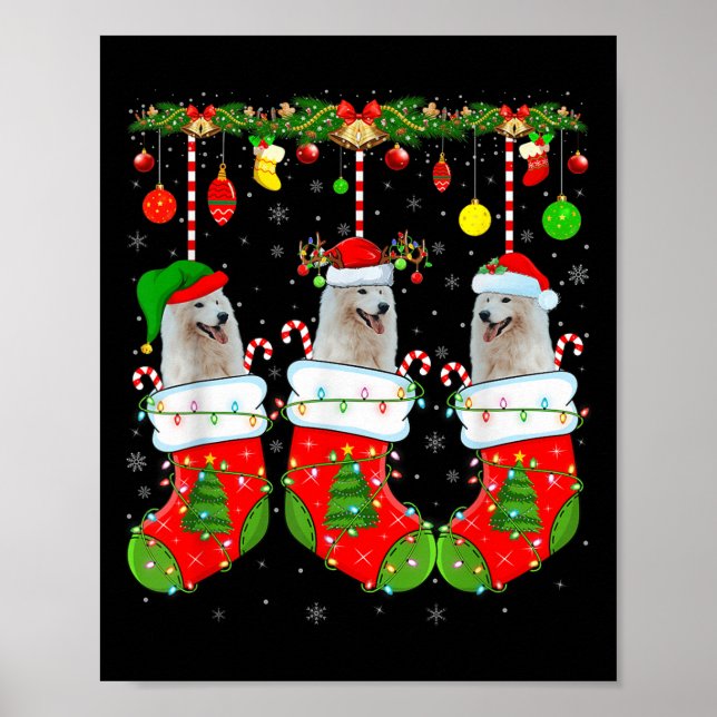 American Eskimo Dog In Christmas Socks Funny Dog L Poster (Vorne)