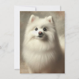 American Eskimo Dog Karte