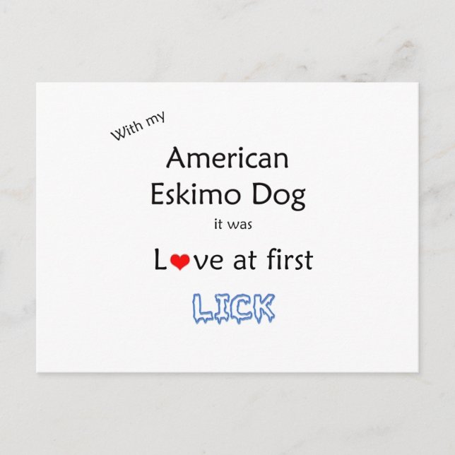 American Eskimo Dog Lick Design Postkarte (Vorderseite)