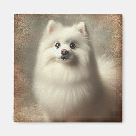 American Eskimo Dog Magnet