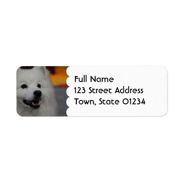 American Eskimo Dog Mailing Labels (Vorne)