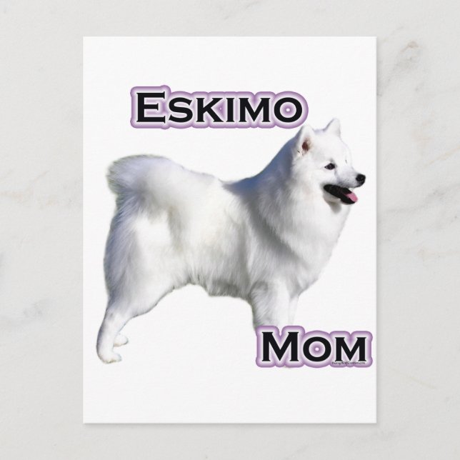 American Eskimo Dog Mama 4 Postkarte (Vorderseite)