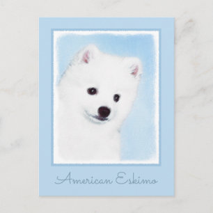American Eskimo Dog Painting - Original Dog Art Postkarte