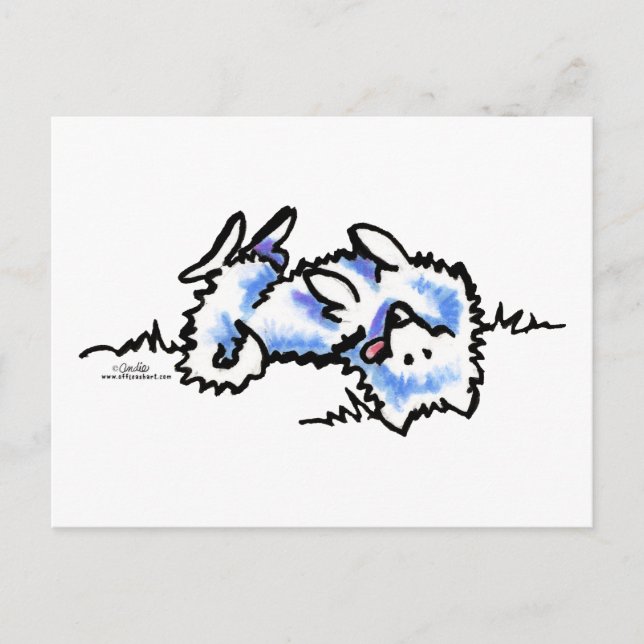 American Eskimo Dog Play Dead Postkarte (Vorderseite)