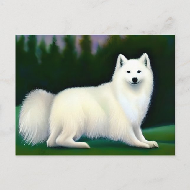 American Eskimo Dog Postkarte (Vorderseite)