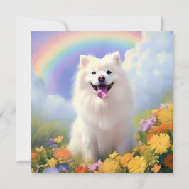 American Eskimo Dog Rainbow Bridge Individuelle Na