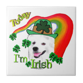 American Eskimo Dog St Patricks Fliese