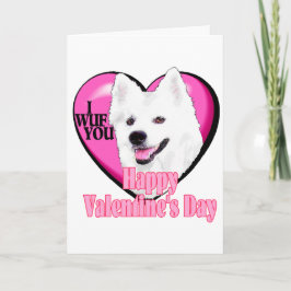 American Eskimo Dog Valentinstag Feiertagskarte
