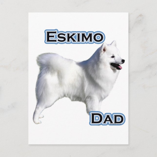 American Eskimo Dog Vater 4 Postkarte (Vorderseite)