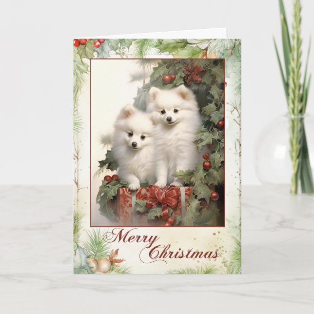 American Eskimo Dog Weihnachten (Vorderseite)
